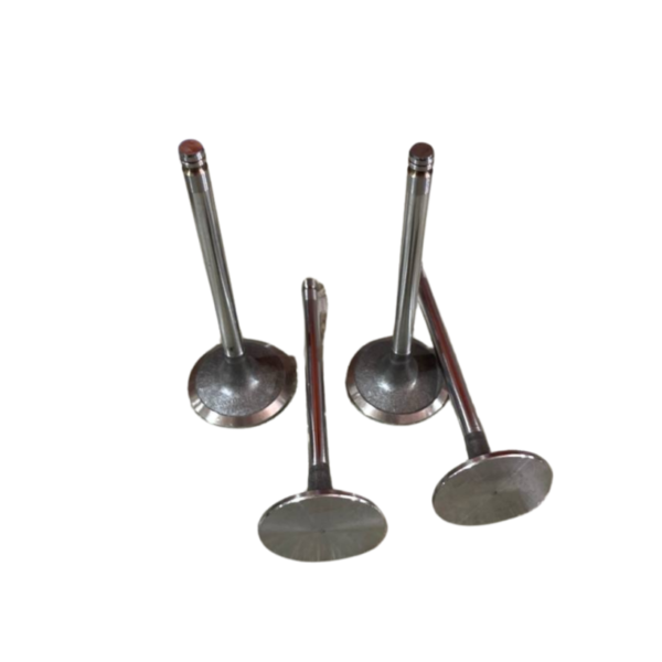 VALVULA DE ADMISION FORD CARGO 815