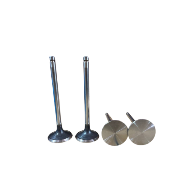 VALVULA DE ESCAPE FORD CARGO 815