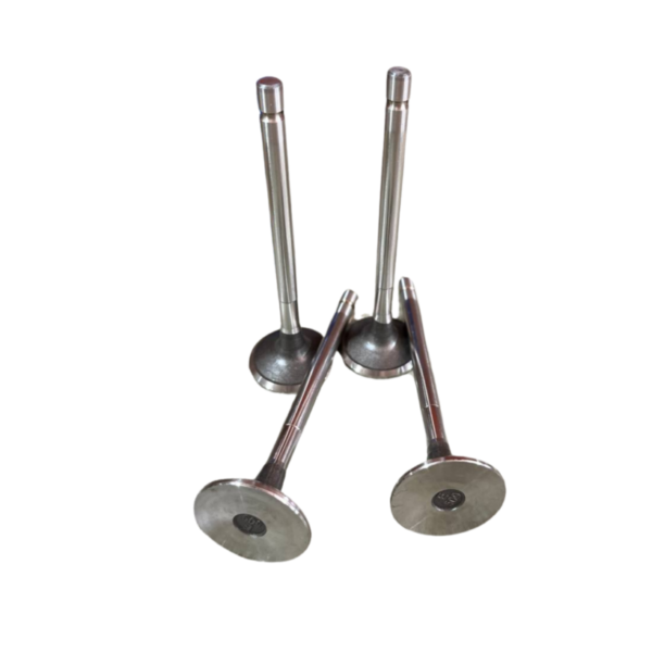 VALVULA DE ESCAPE ISUZU NPR 4HG1T