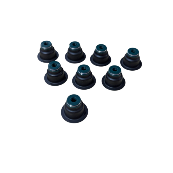 JUEGO DE GOMAS DE VALVULA FORD CARGO 815 4K DIESEL